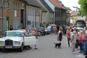 Start zum Demo-Lauf